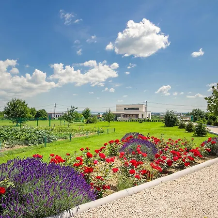 Cserszeg By Interhome * Cserszegtomaj