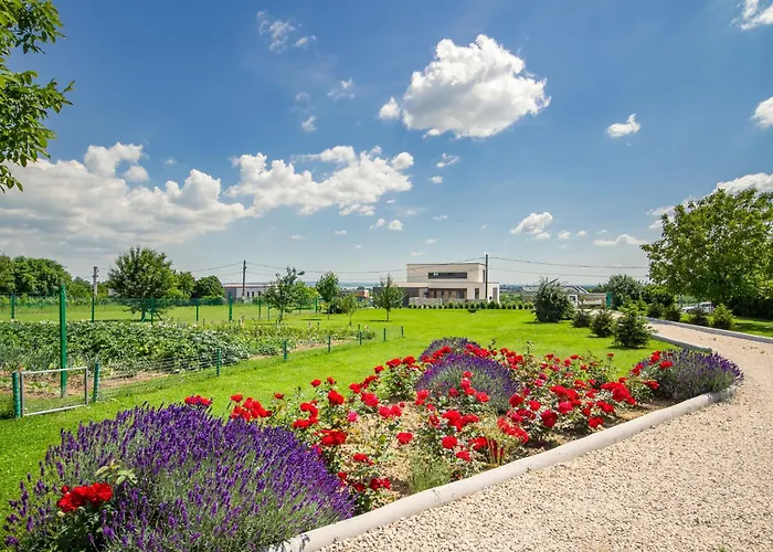 Cserszeg By Interhome * Cserszegtomaj